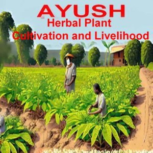 AYUSH Herbal Plants Cultivation & Livelihood