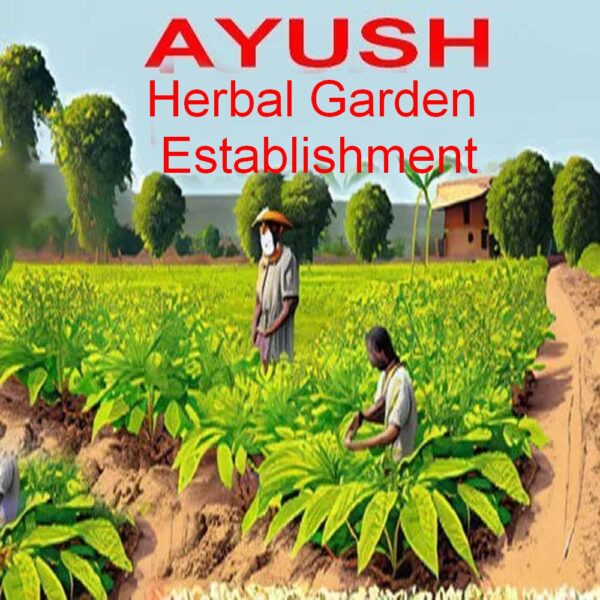 AYUSH Herbal garden