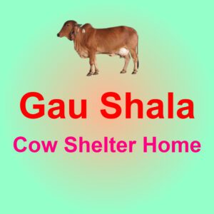 Gau Shala