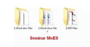 MoES Seminar Project