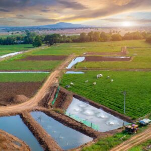 Watershed project