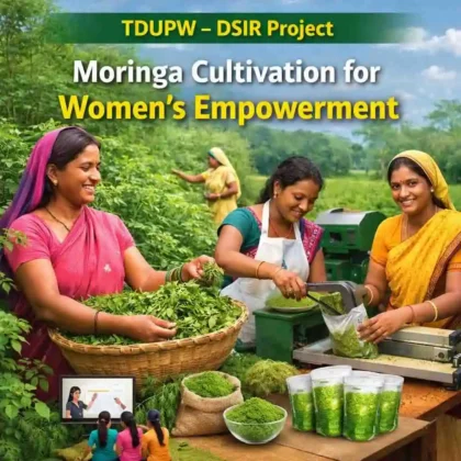 Technology Development and Utilization P...