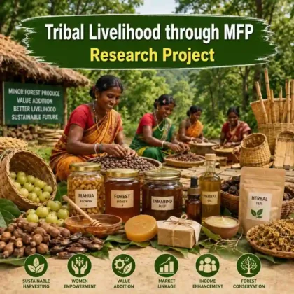 Empowering Tribal Communities: Forest-to...