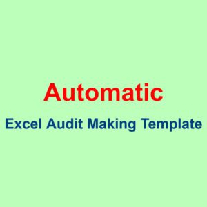 Excel Template for Making Audit of NGO