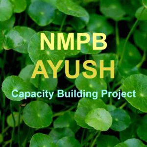 NMPB AYUSH Medicinal Plants – Capacity Building Project