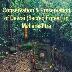 Protection and Conservation of Devrai (Sacred Forest) in Maharashtra