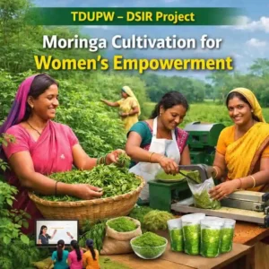TDUPW DSIR Project