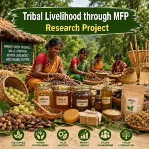 Tribal Livelihoods MFP Research Project Proposal